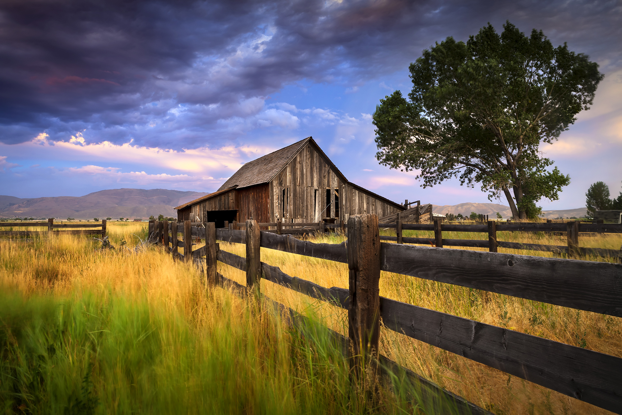 farm and ranch insurance texas