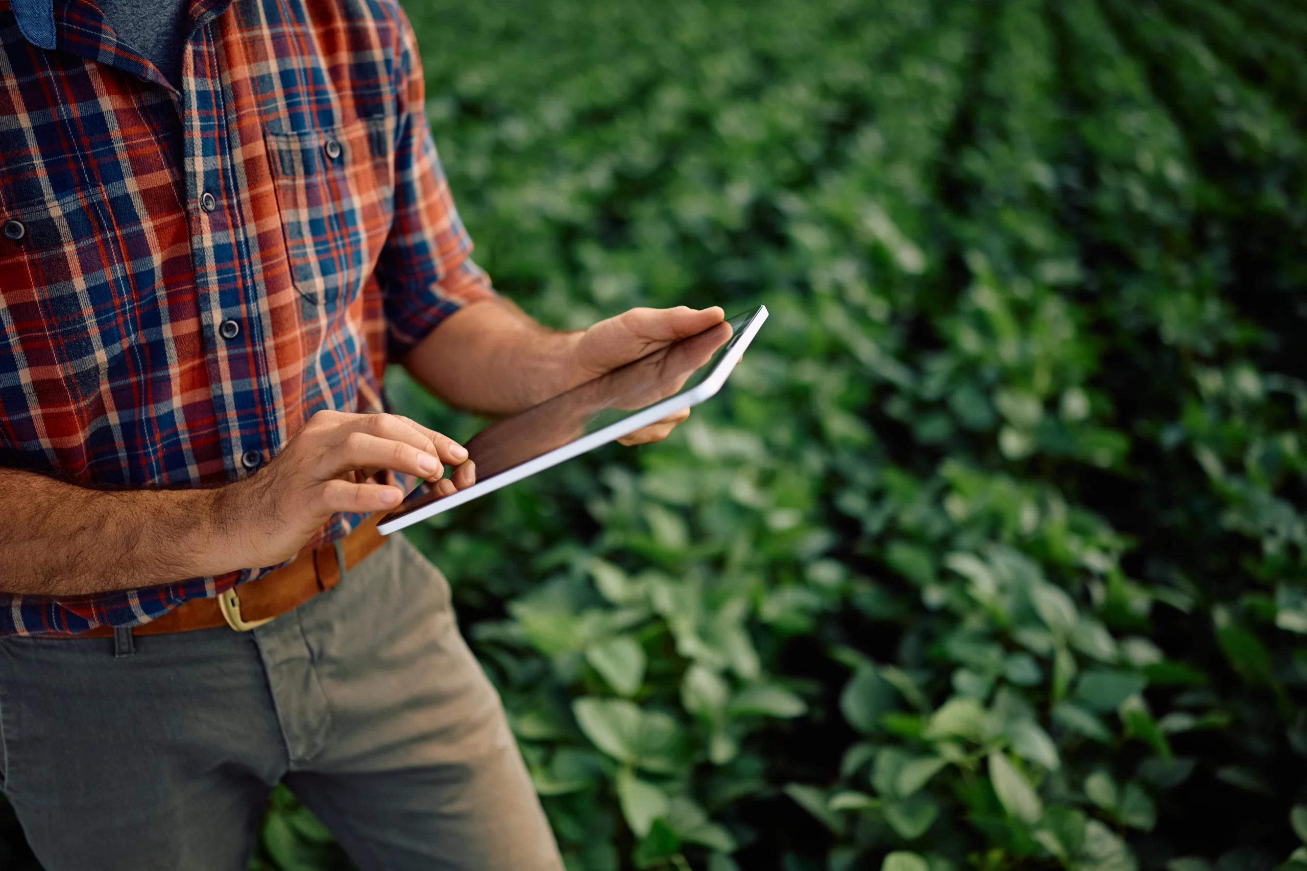 Multi-Peril Crop Insurance Texas
