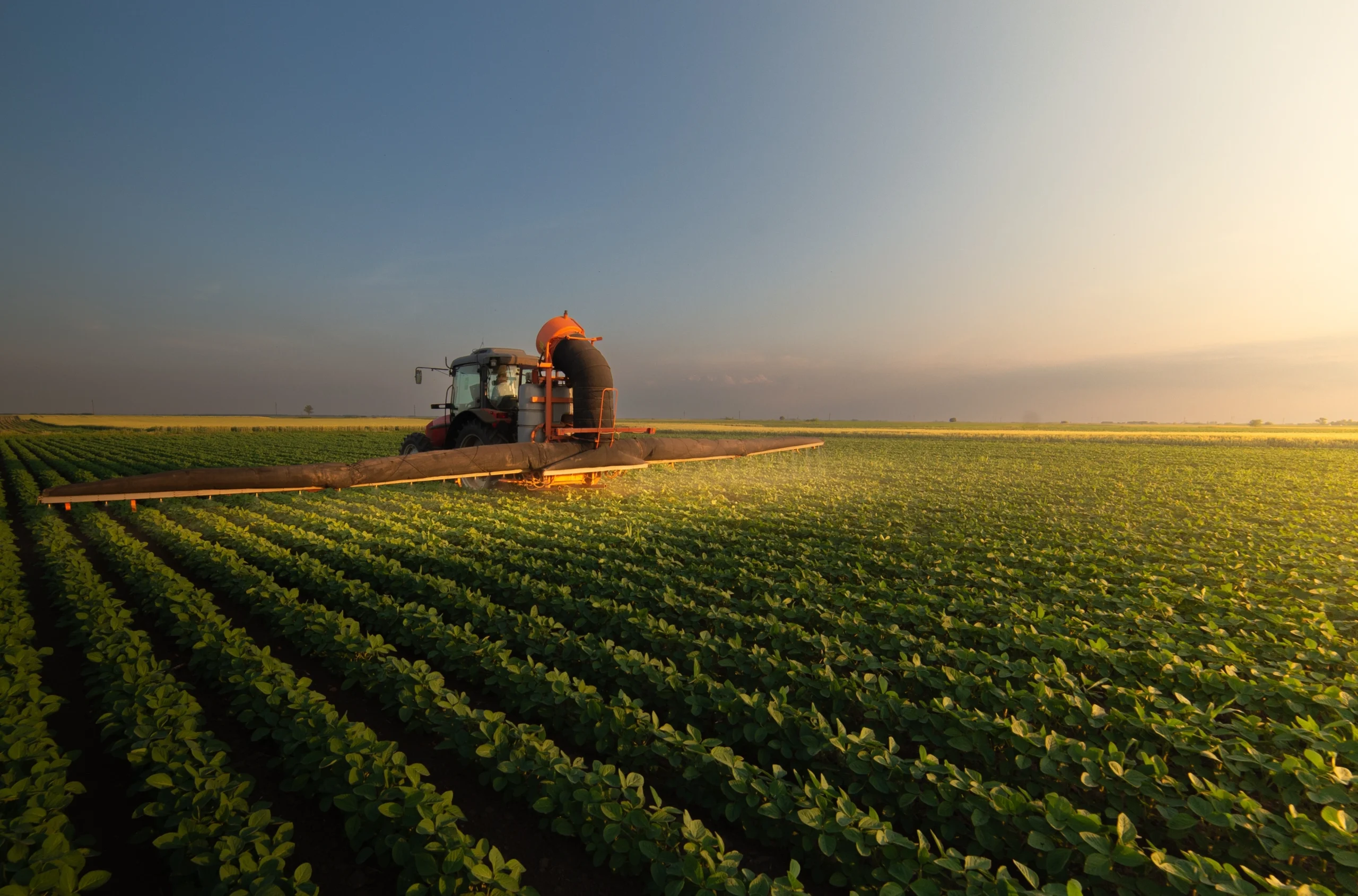 Multi-Peril Crop Insurance Texas