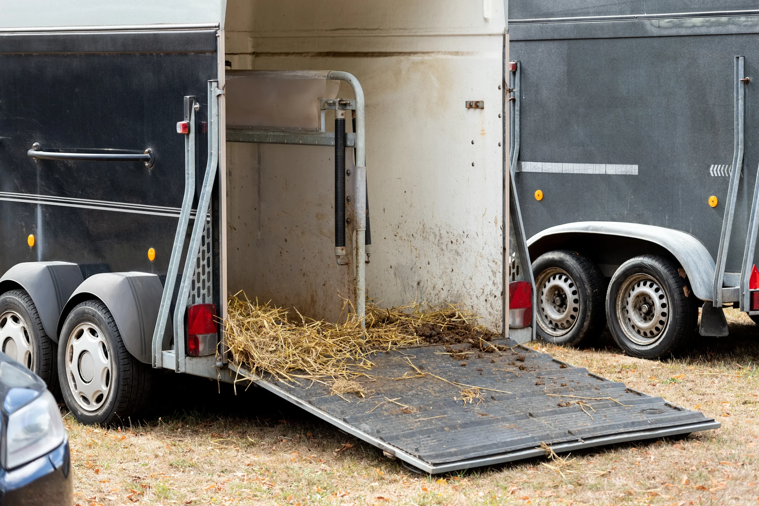 livestock-hauling-ins2 Livestock Hauling Insurance Texas