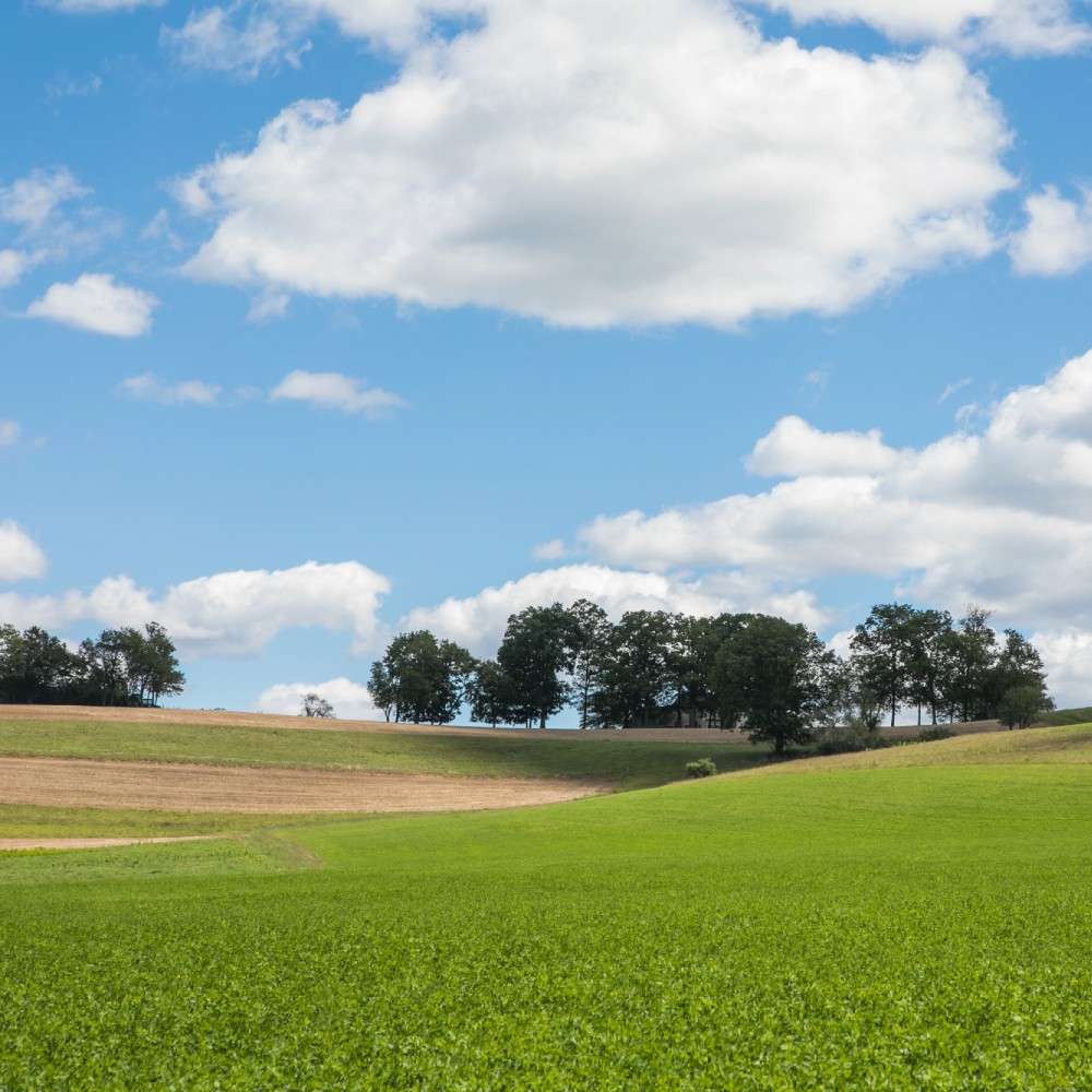 Pasture Rangeland and Forage (PRF) Insurance Texas